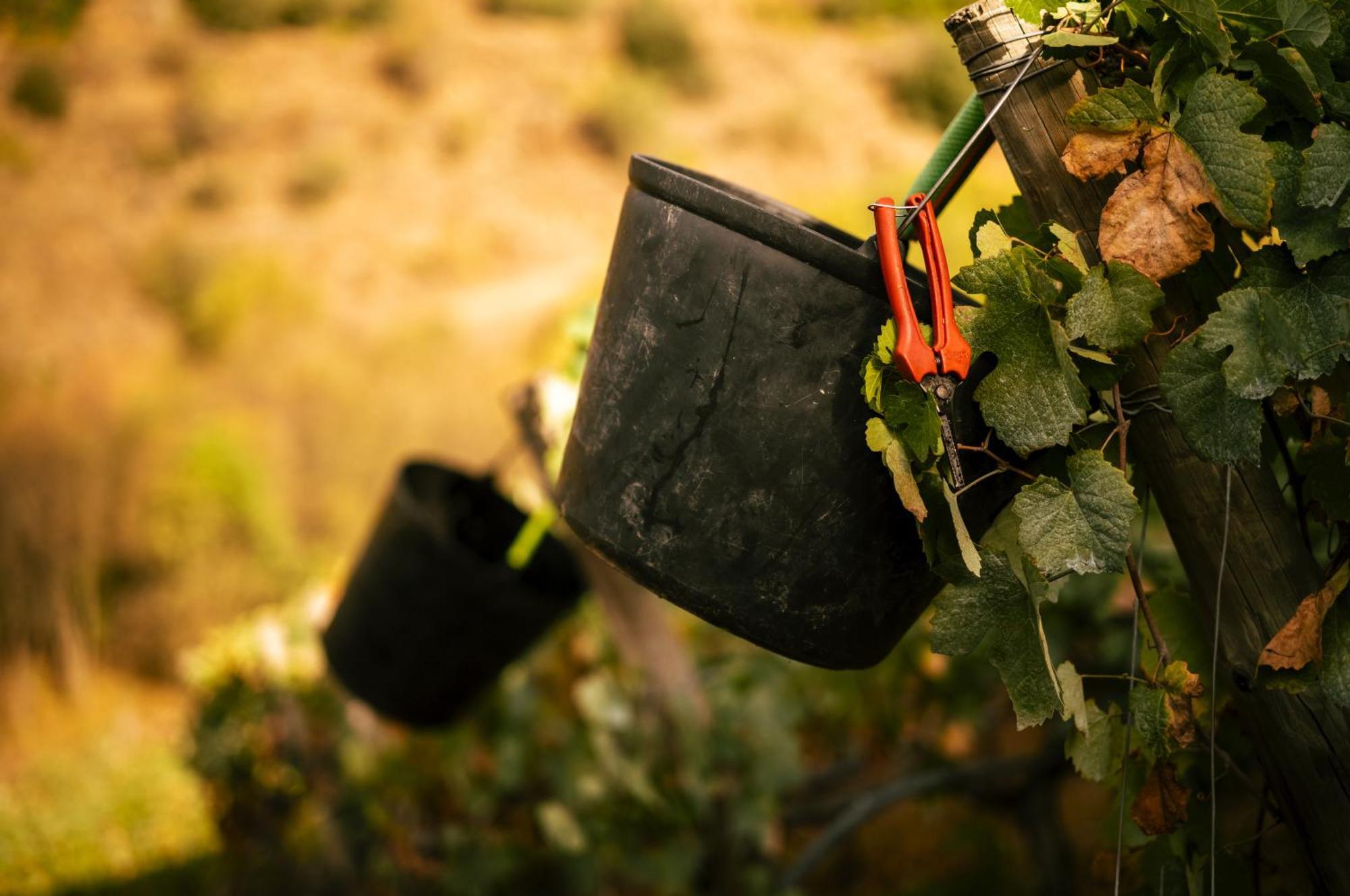 Quinta Da Corte Valença do Douro Zewnętrze zdjęcie