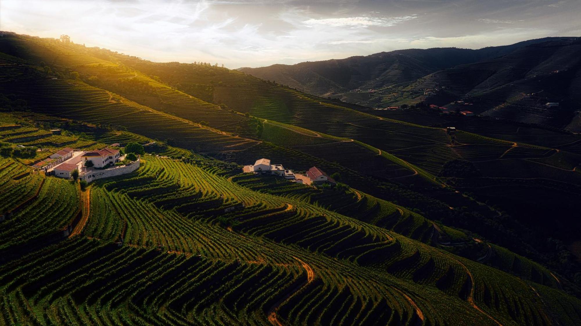 Quinta Da Corte Valença do Douro Zewnętrze zdjęcie