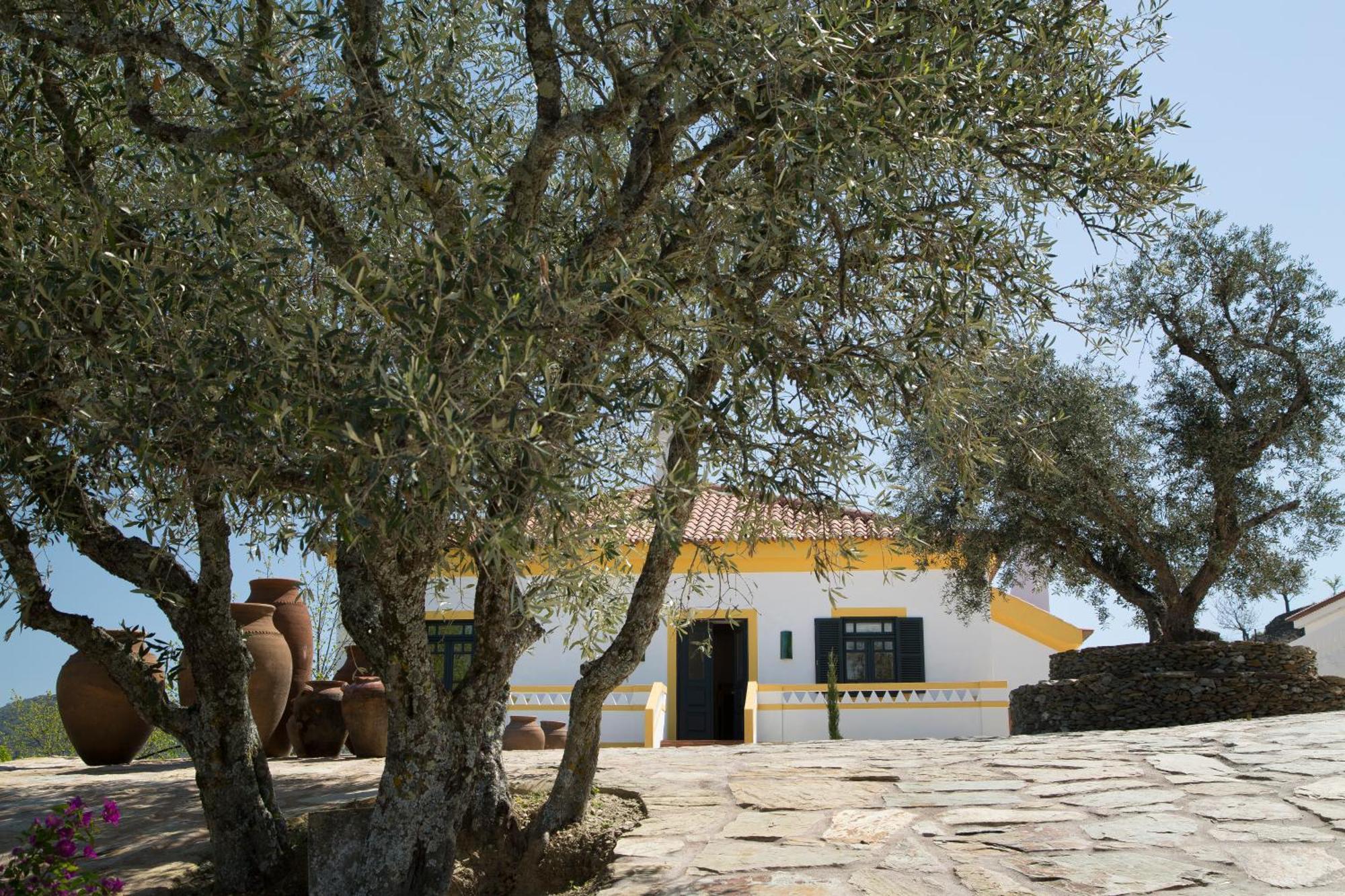 Quinta Da Corte Valença do Douro Zewnętrze zdjęcie