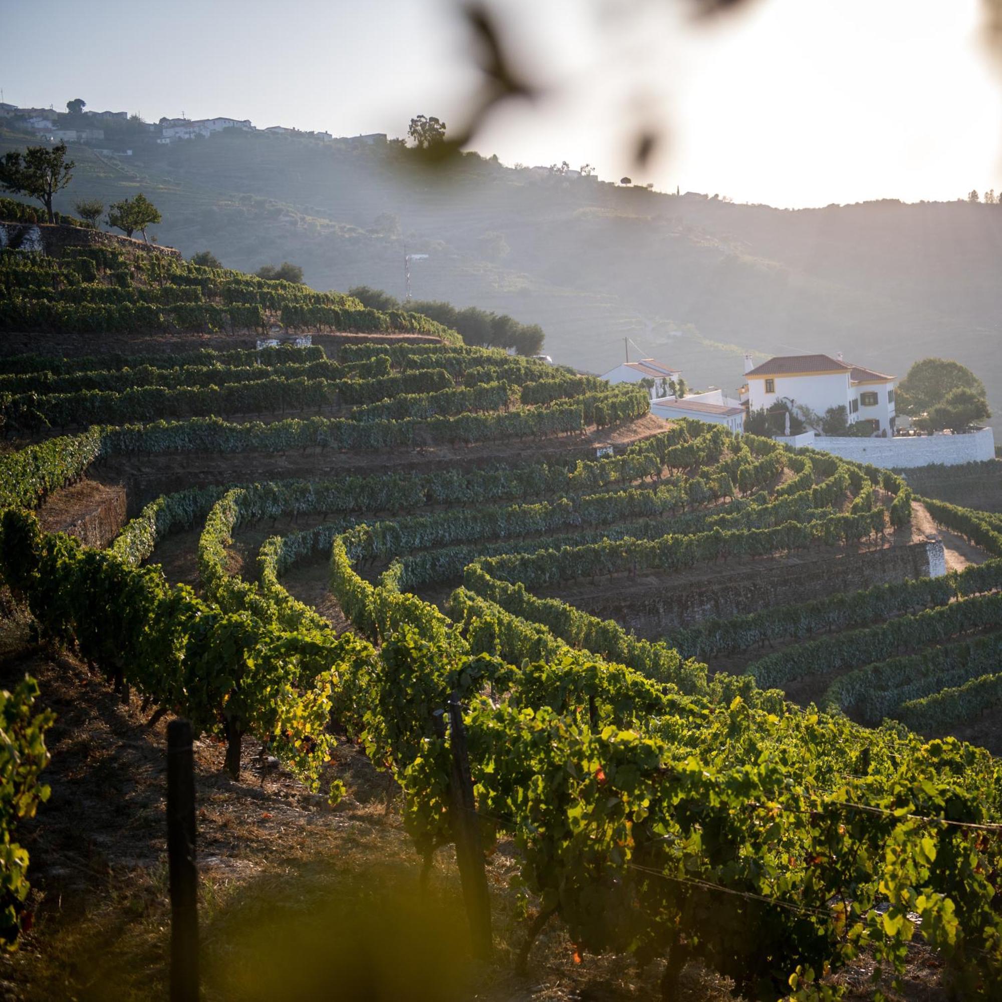 Quinta Da Corte Valença do Douro Zewnętrze zdjęcie