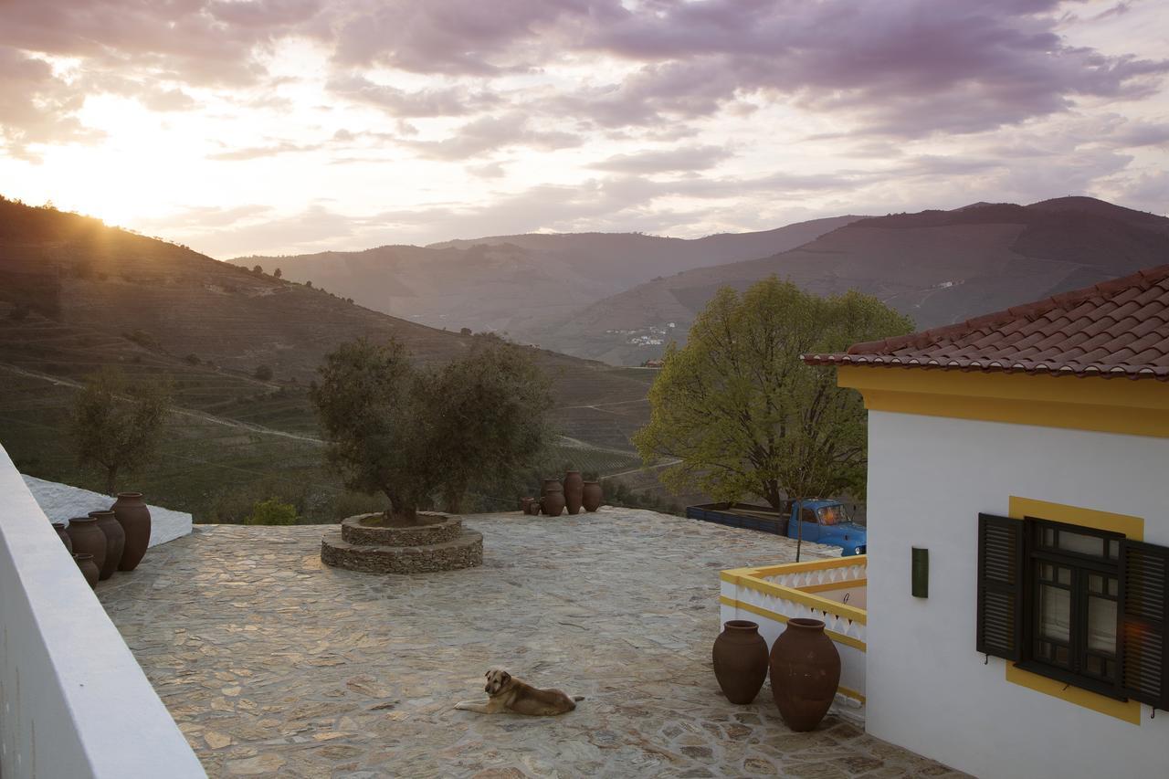Quinta Da Corte Valença do Douro Zewnętrze zdjęcie