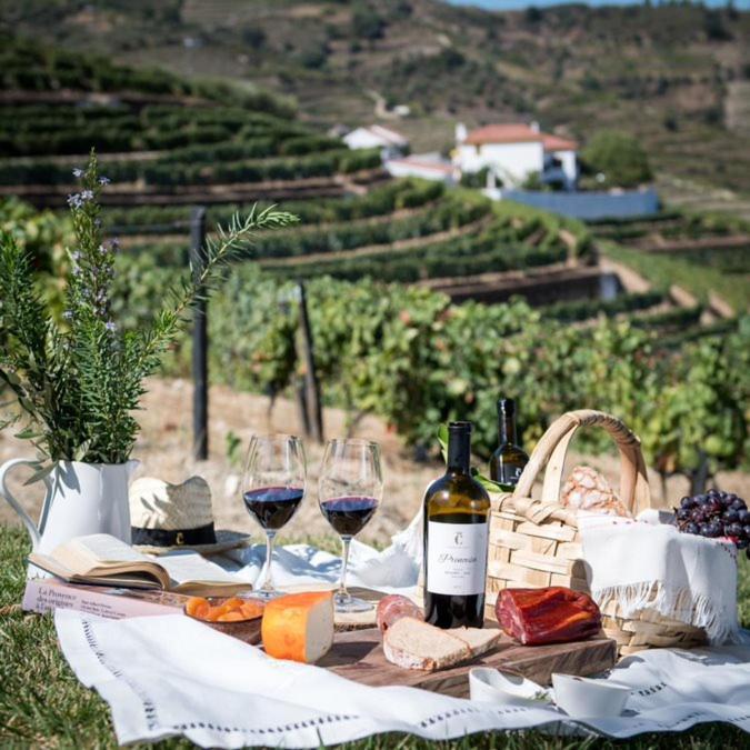Quinta Da Corte Valença do Douro Zewnętrze zdjęcie